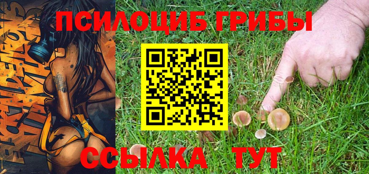 Псилоцибиновые грибы GOLDEN TEACHER Александров