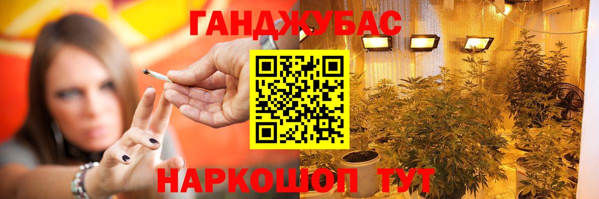 Канабис конопля Александров